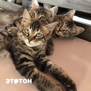 Цитаты про дружбу